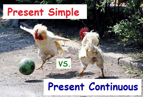 Відмінності між Present Simple і Present Continuous (Теперішнім простим і тривалим часом)