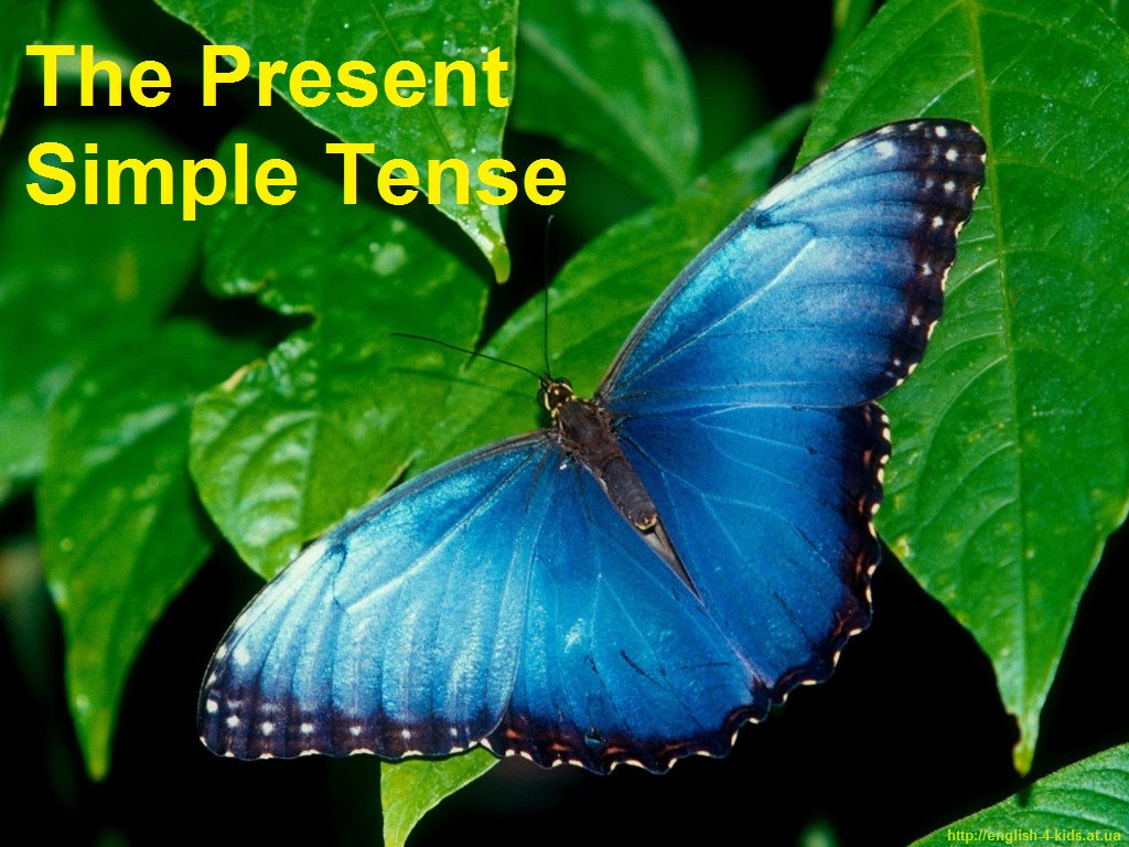 Теперішній простий час в англійській мові. The Present Indefinite (Simple) Tense